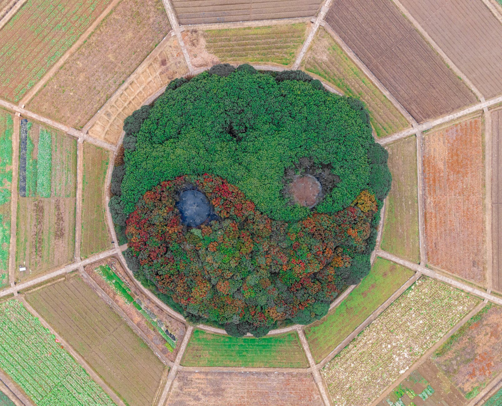 drone shot of a round ying yang garden in the centre of croplands
Photo by 岳 趙 on Pexels.com