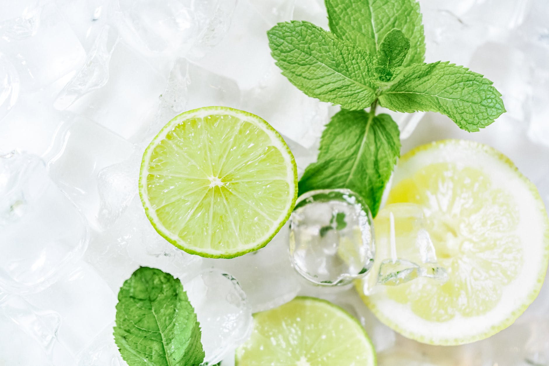 lime slices and mint with ice cubes
Photo by Antoni Shkraba on Pexels.com